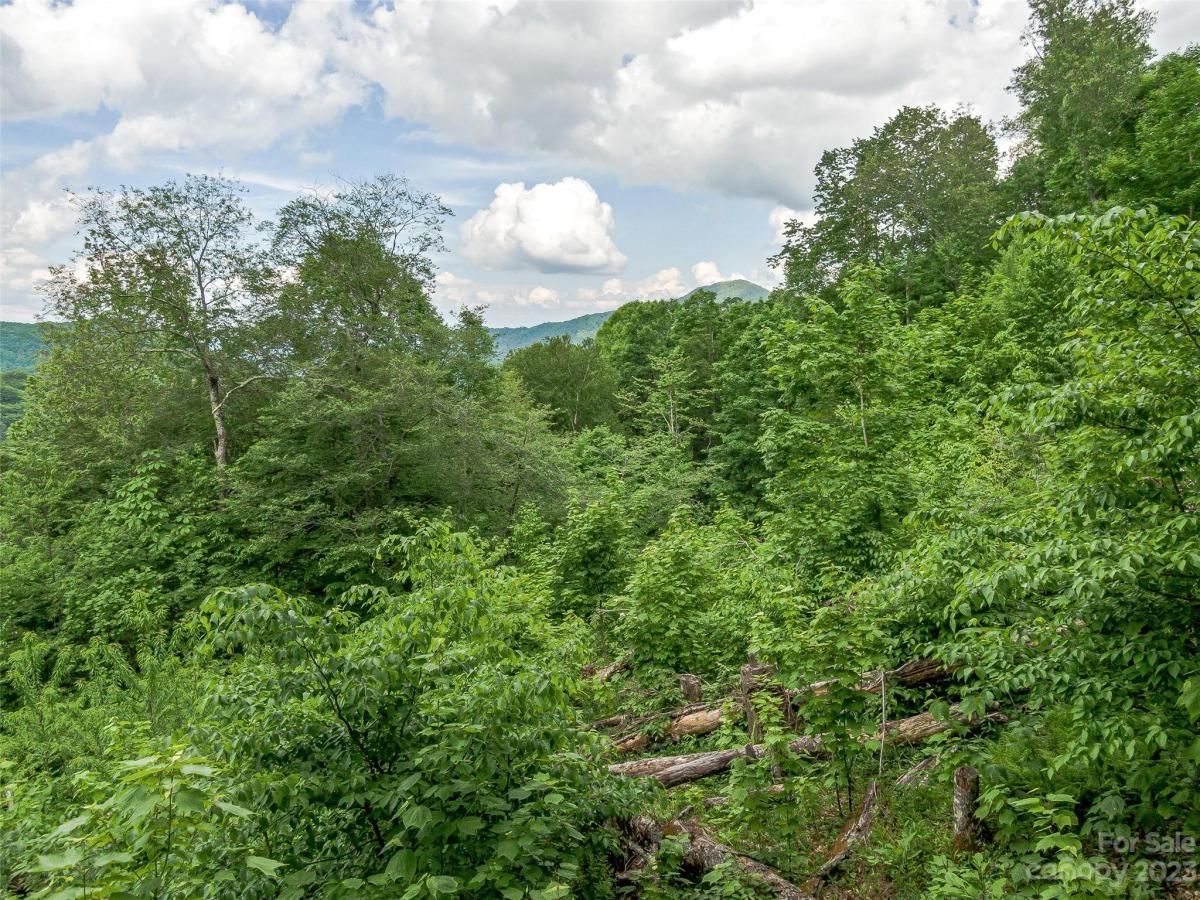 MLS #CAR4104848 image #22