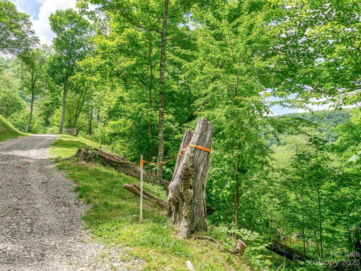 MLS #CAR4104848 image #4