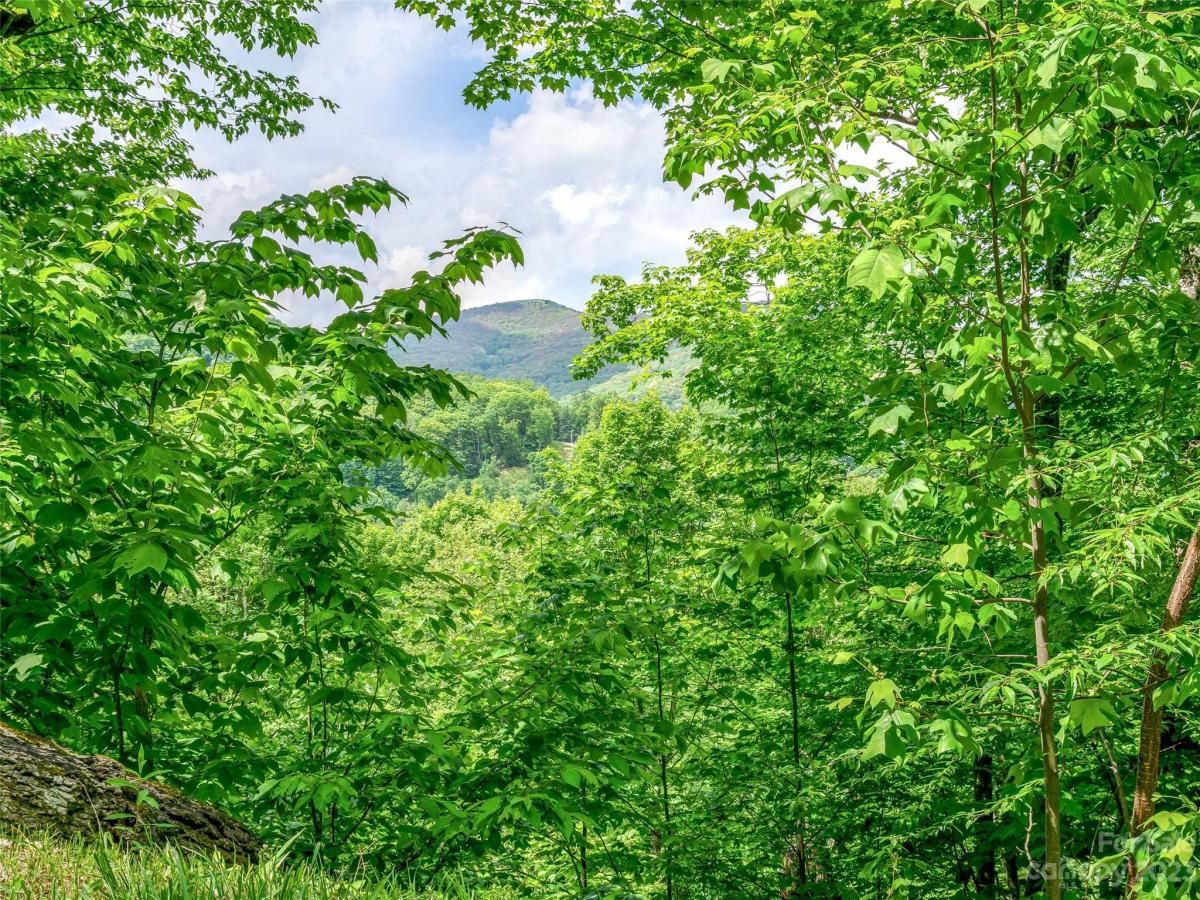 MLS #CAR4104848 image #5