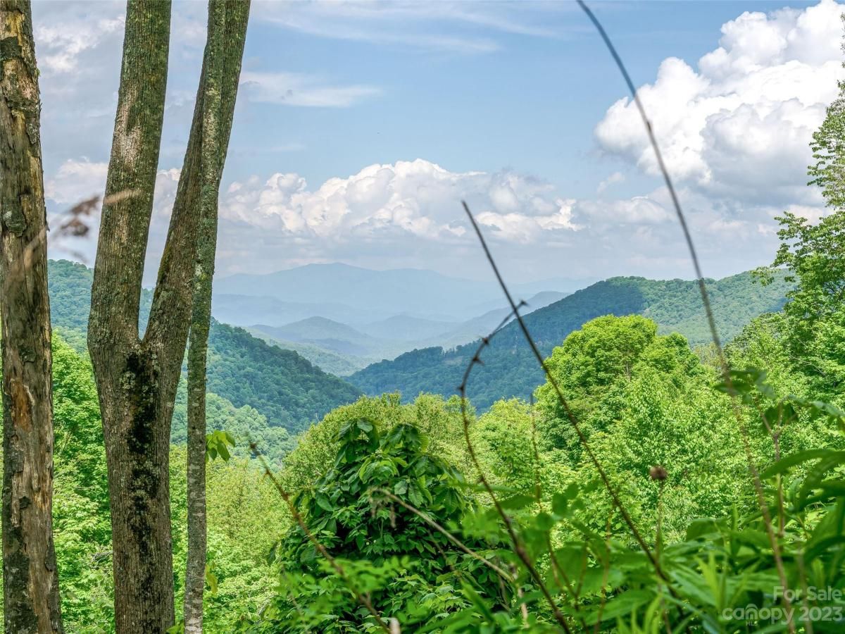 MLS #CAR4104848 image #8