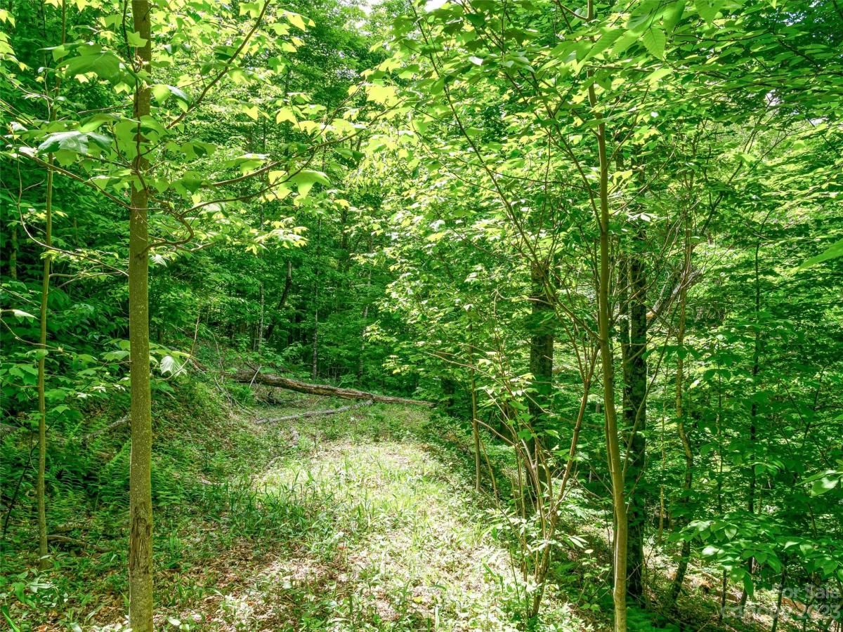 MLS #CAR4104848 image #9