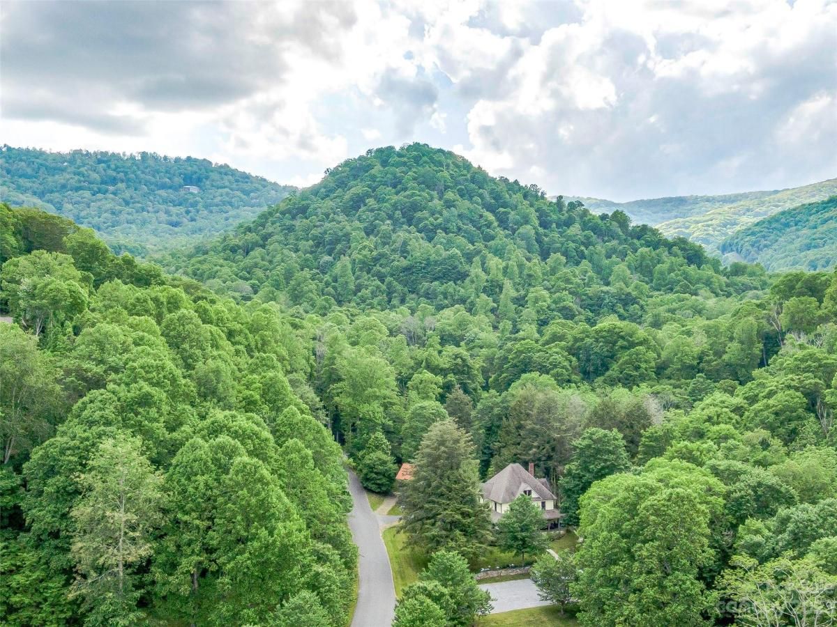 MLS #CAR4104851 image #18