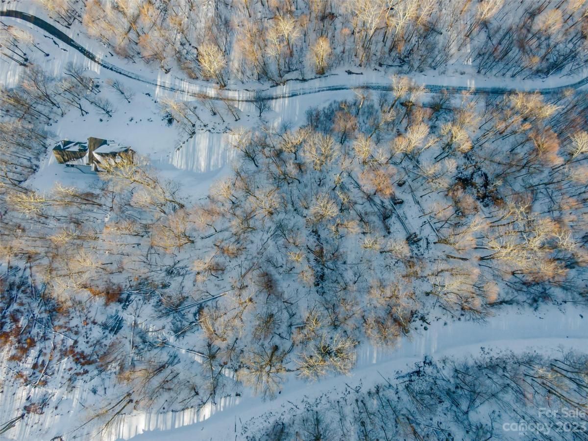 MLS #CAR4104851 image #2