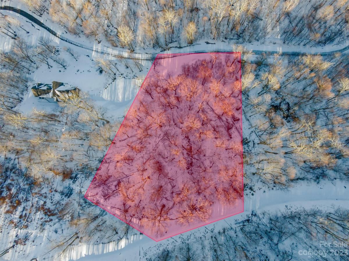 MLS #CAR4104851 image #3