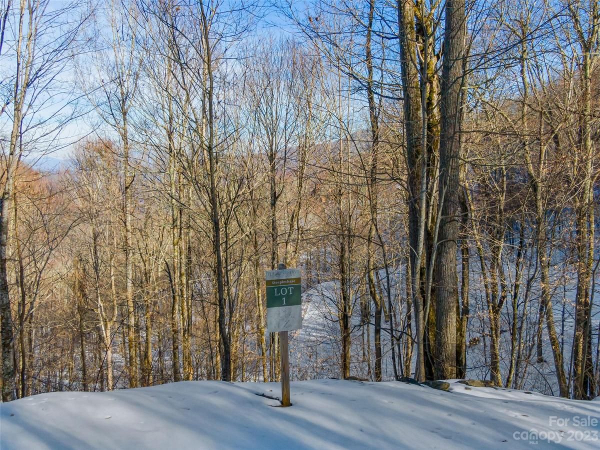 MLS #CAR4104858 image #0