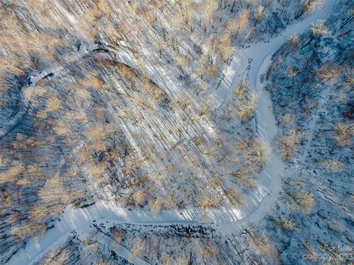 MLS #CAR4104858 image #2