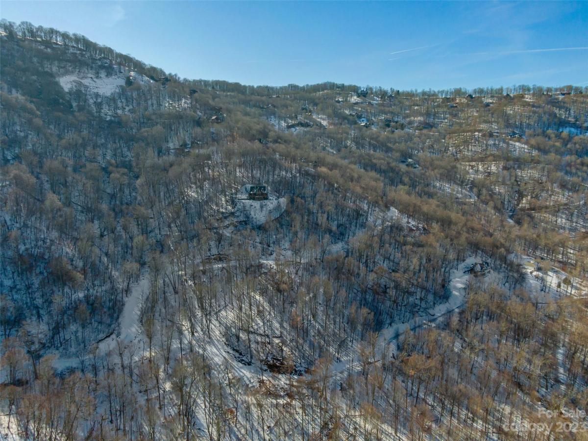 MLS #CAR4104858 image #5