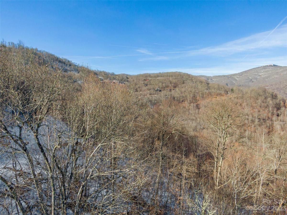 MLS #CAR4104858 image #6