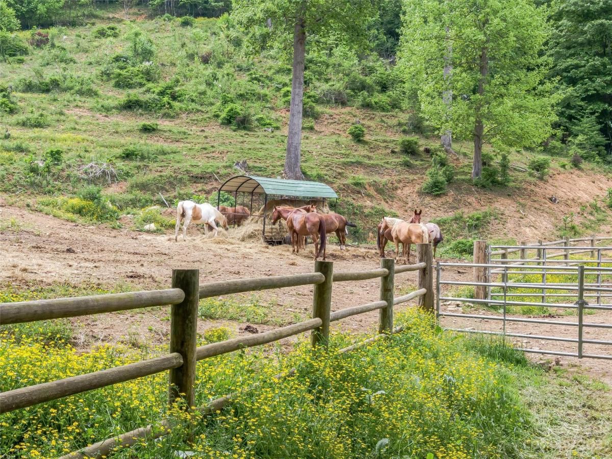 MLS #CAR4104860 image #8