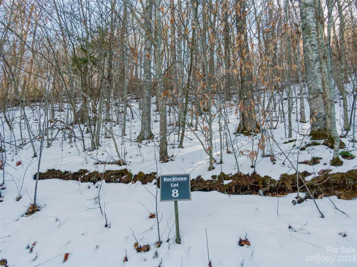 MLS #CAR4104865 image #1