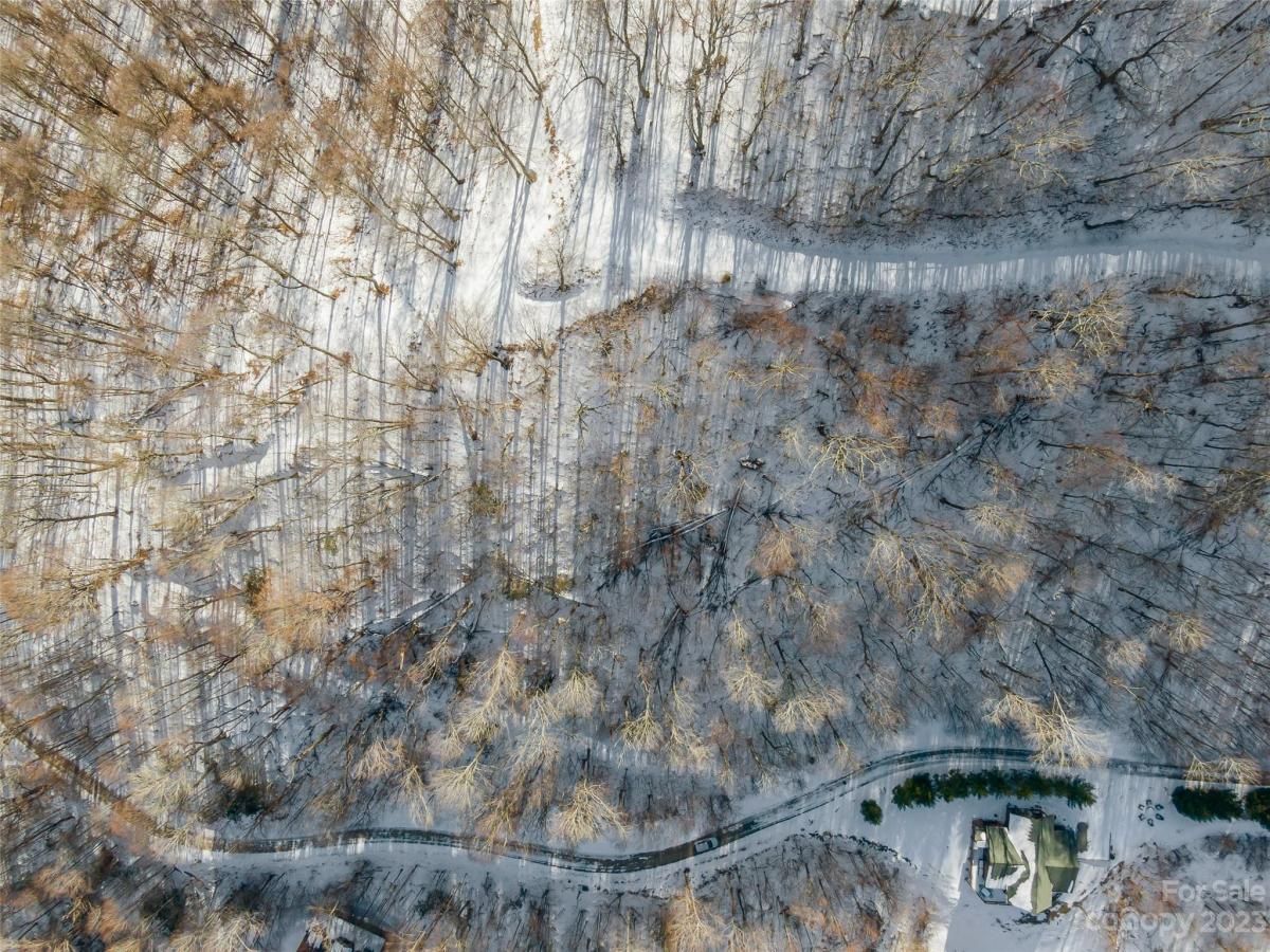 MLS #CAR4104865 image #2