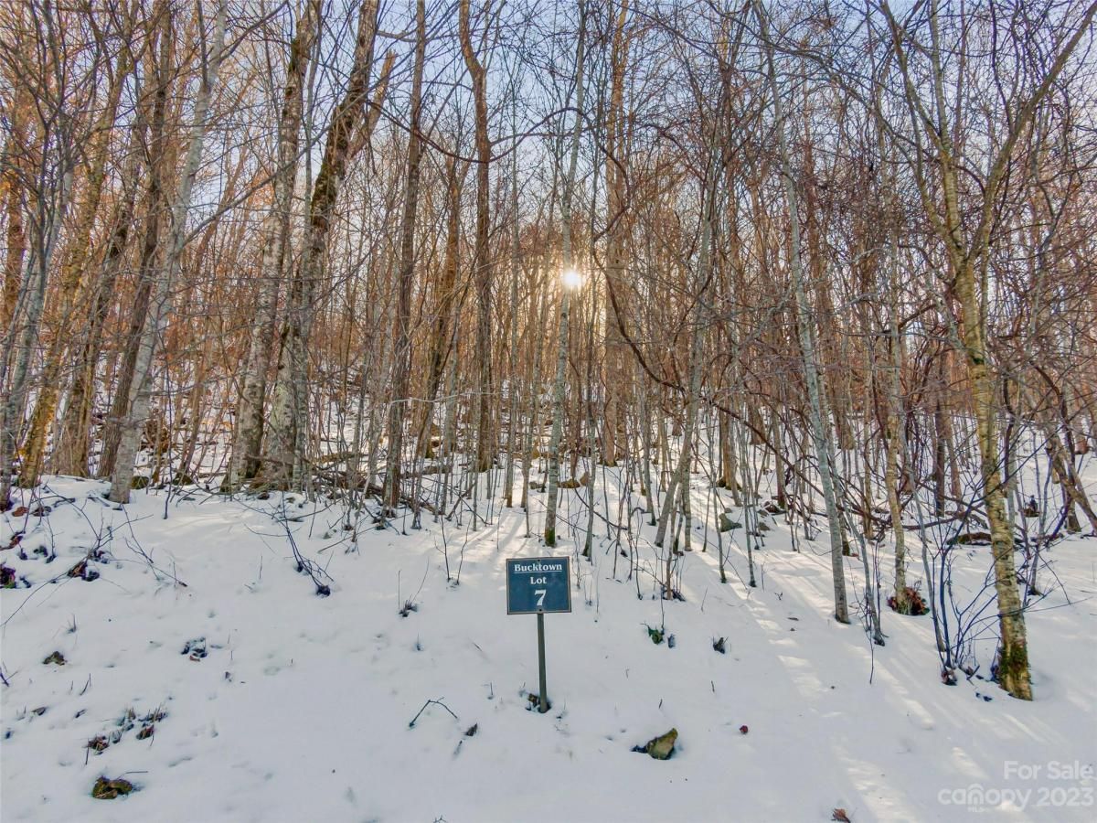 MLS #CAR4104866 image #0