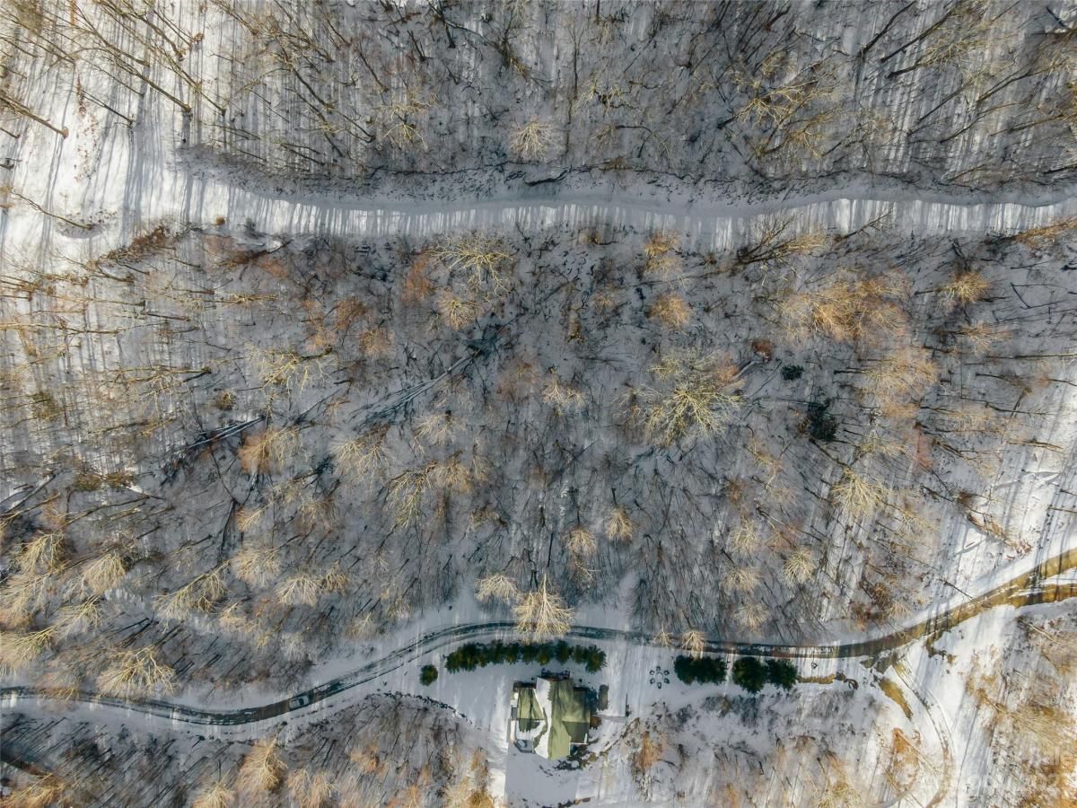 MLS #CAR4104866 image #1