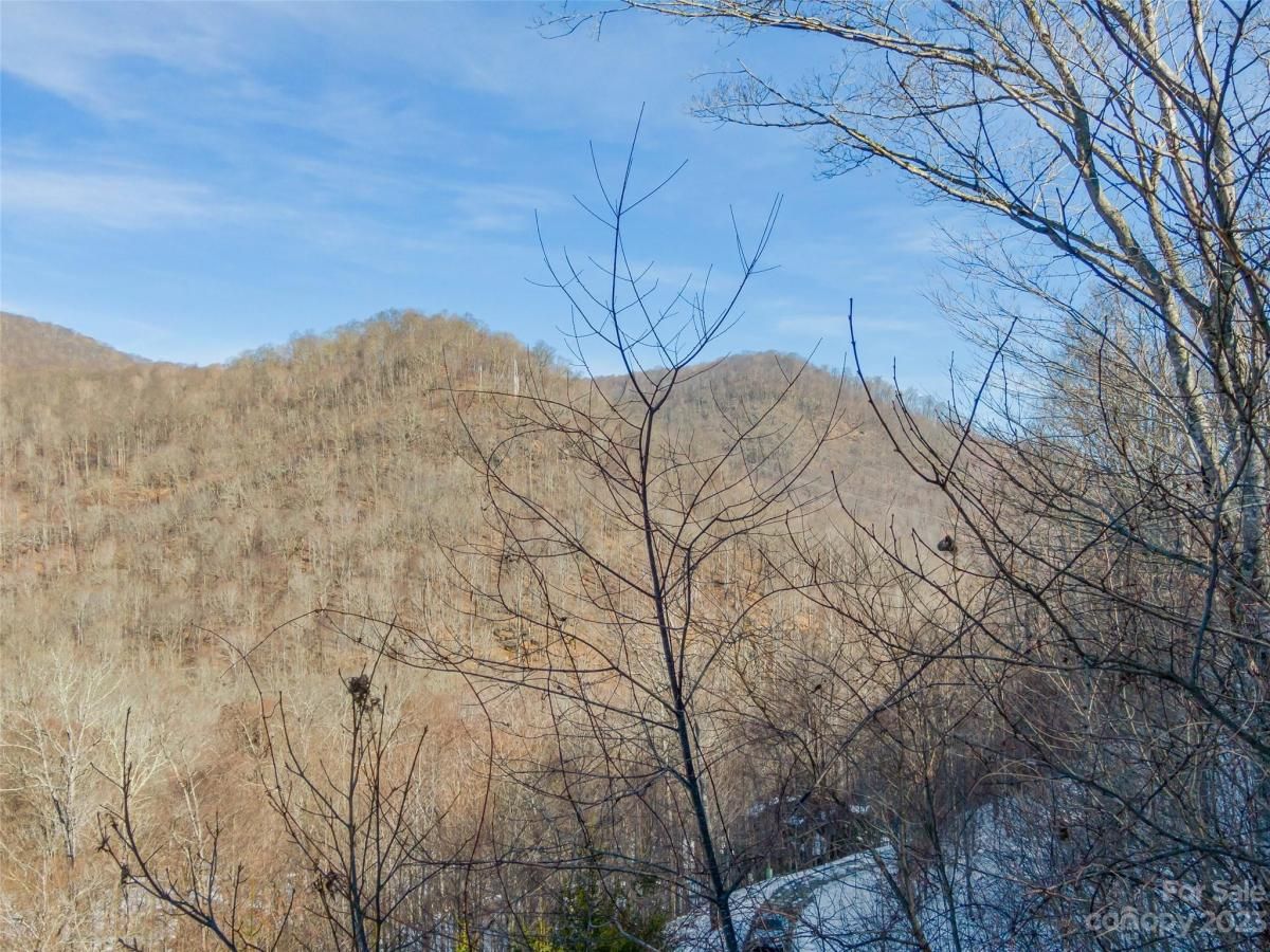 MLS #CAR4104866 image #5