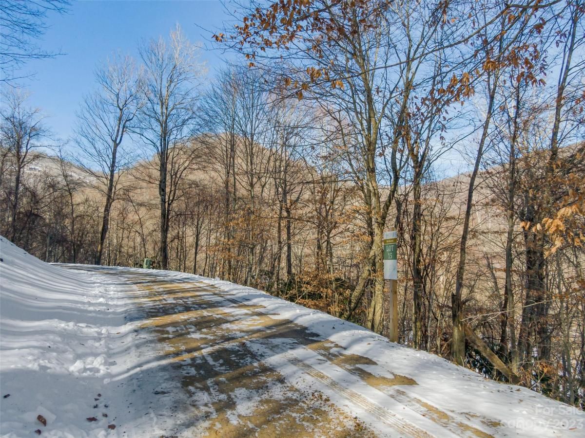 MLS #CAR4104867 image #6