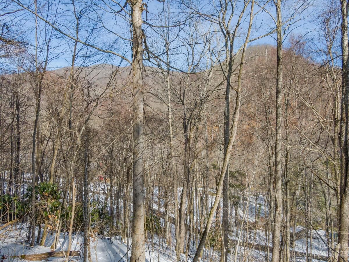 MLS #CAR4104867 image #7