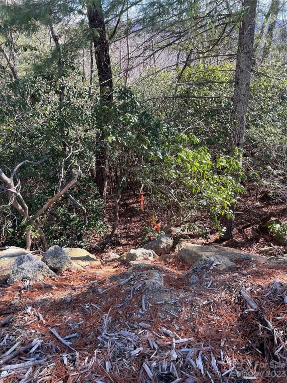 MLS #CAR4104939 image #2