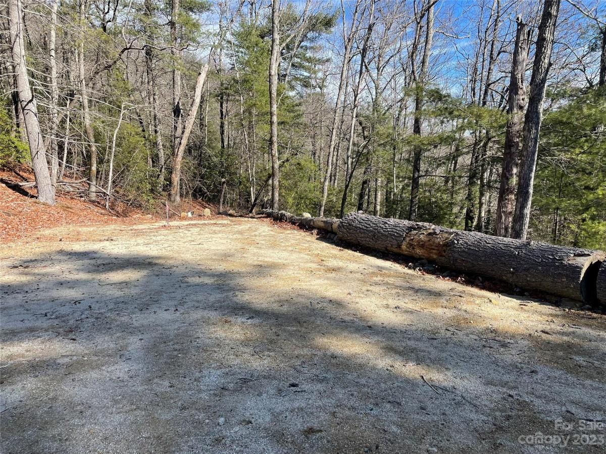 MLS #CAR4104939 image #1