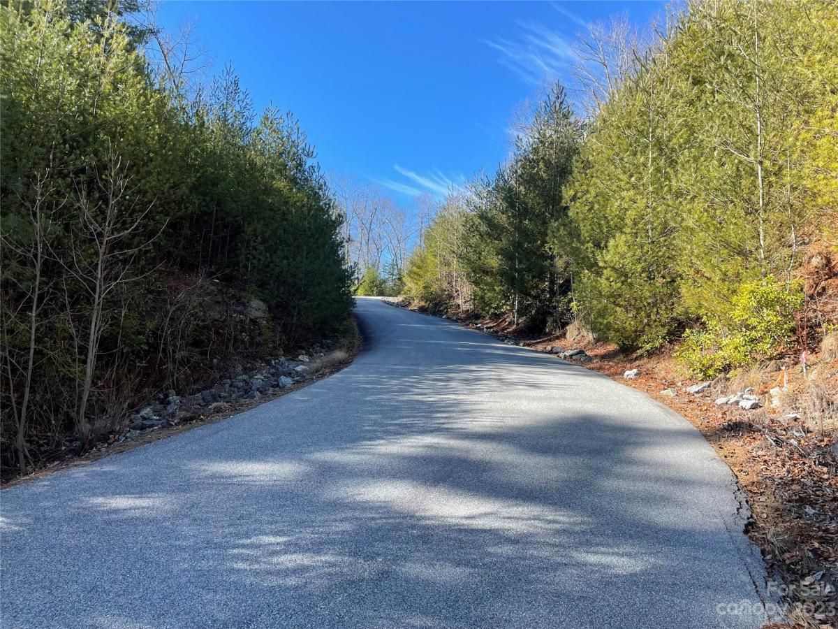 MLS #CAR4104939 image #6