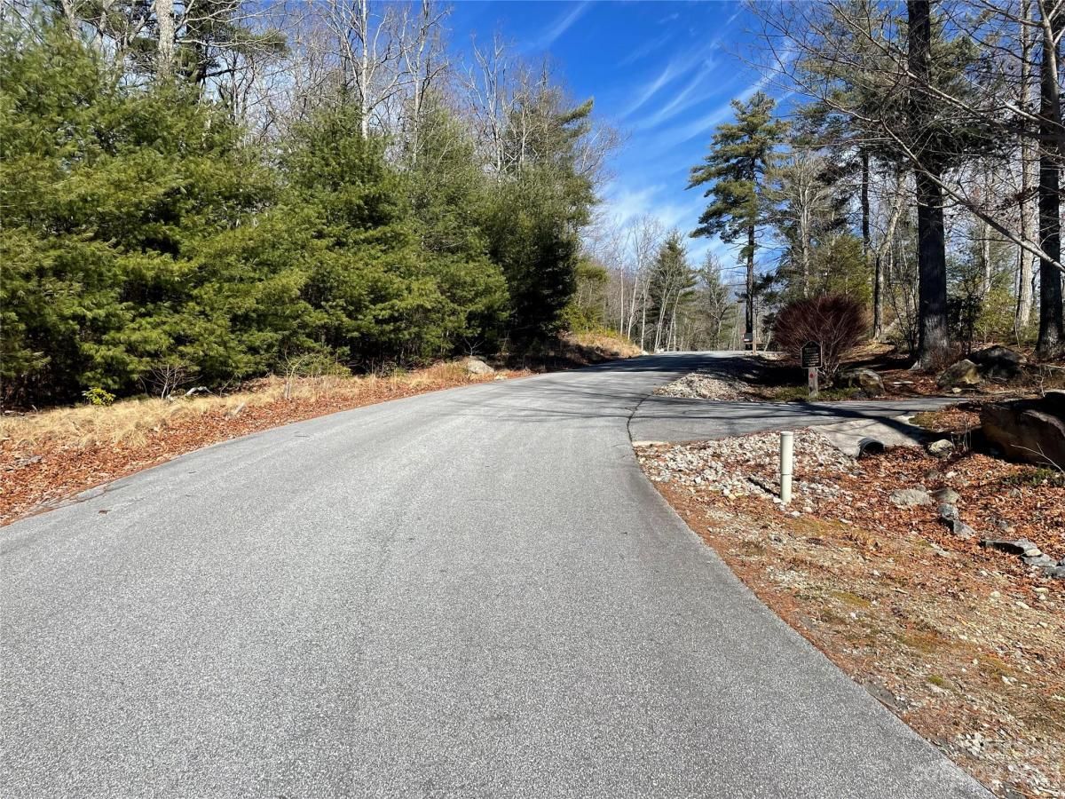 MLS #CAR4104939 image #7