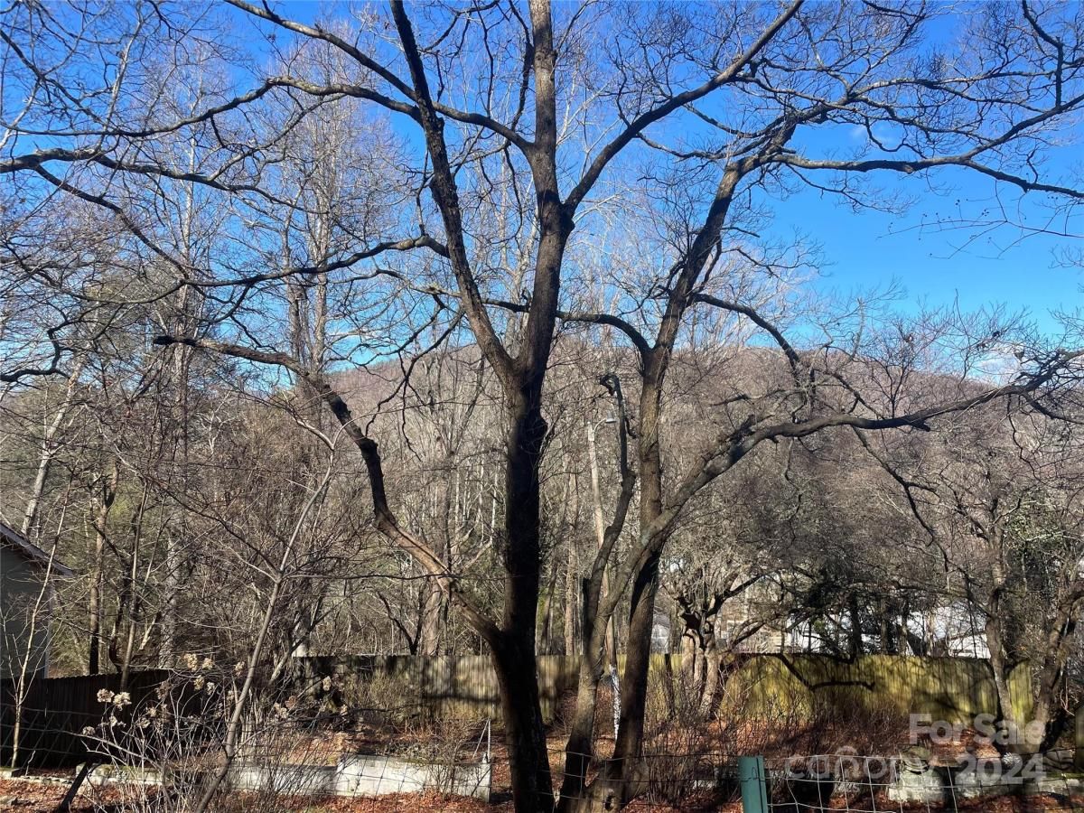 MLS #CAR4104950 image #1