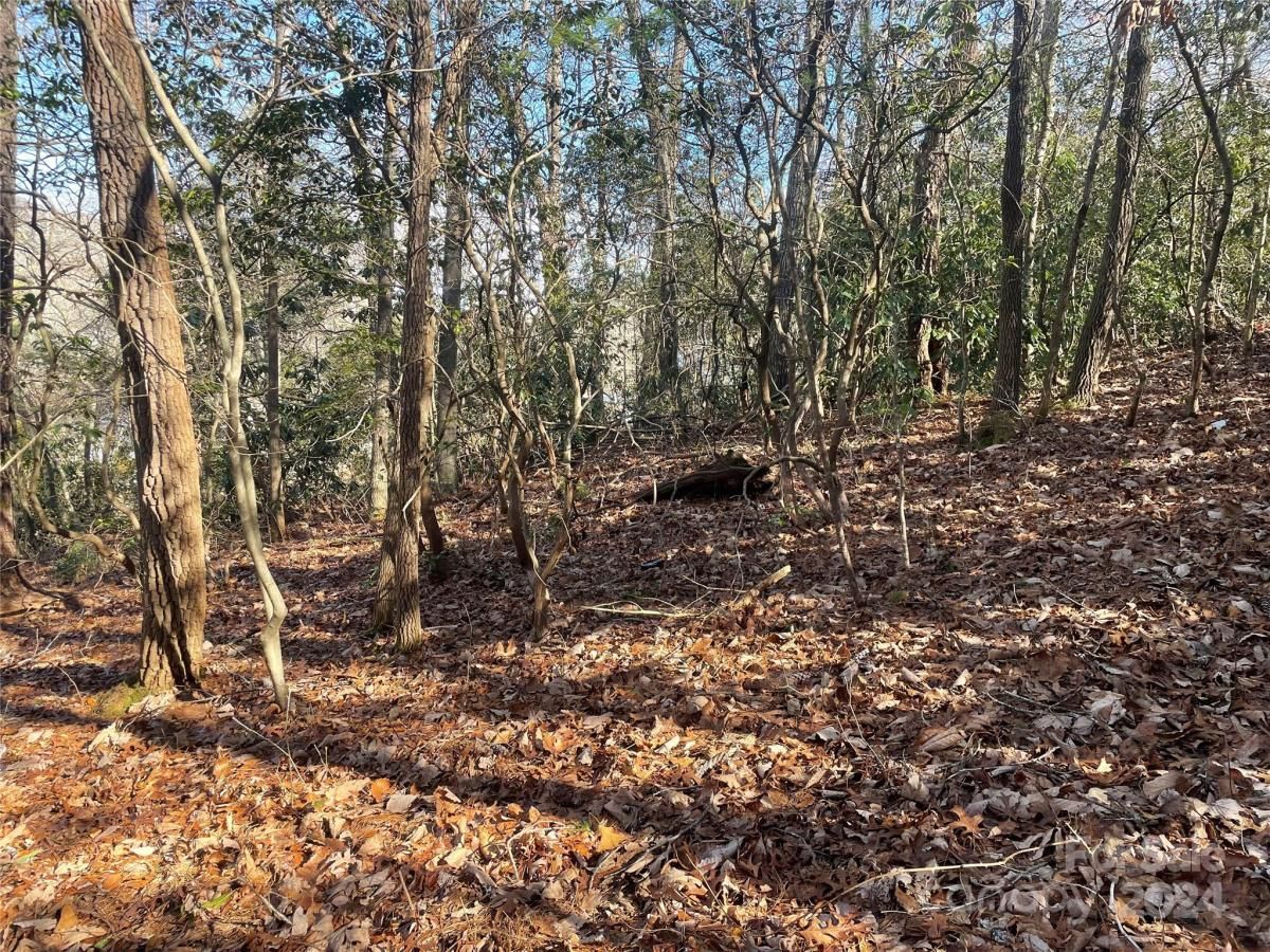 MLS #CAR4104950 image #10