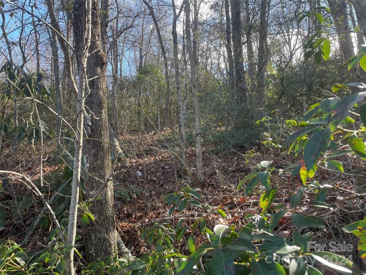 MLS #CAR4104950 image #2