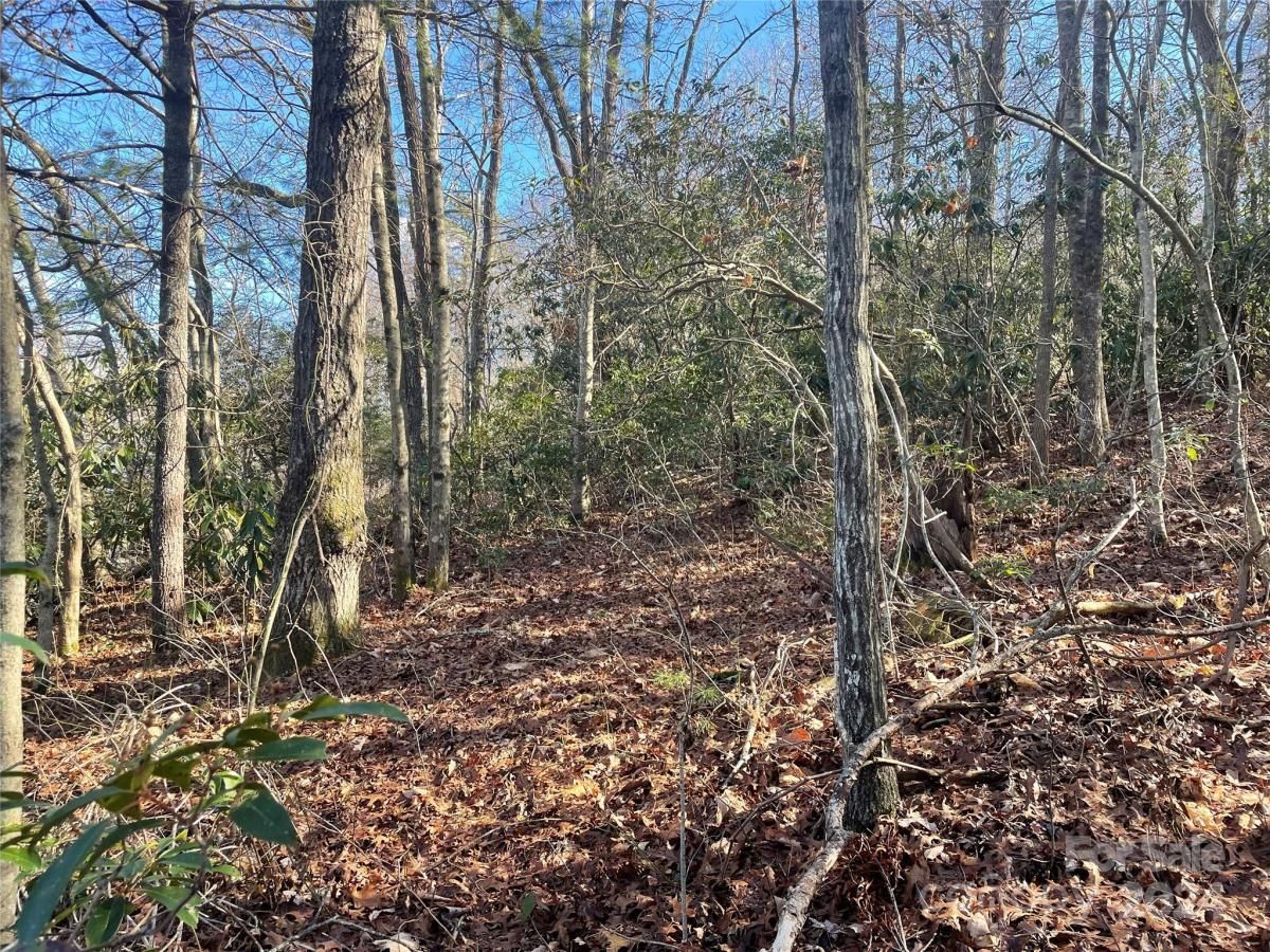 MLS #CAR4104950 image #3