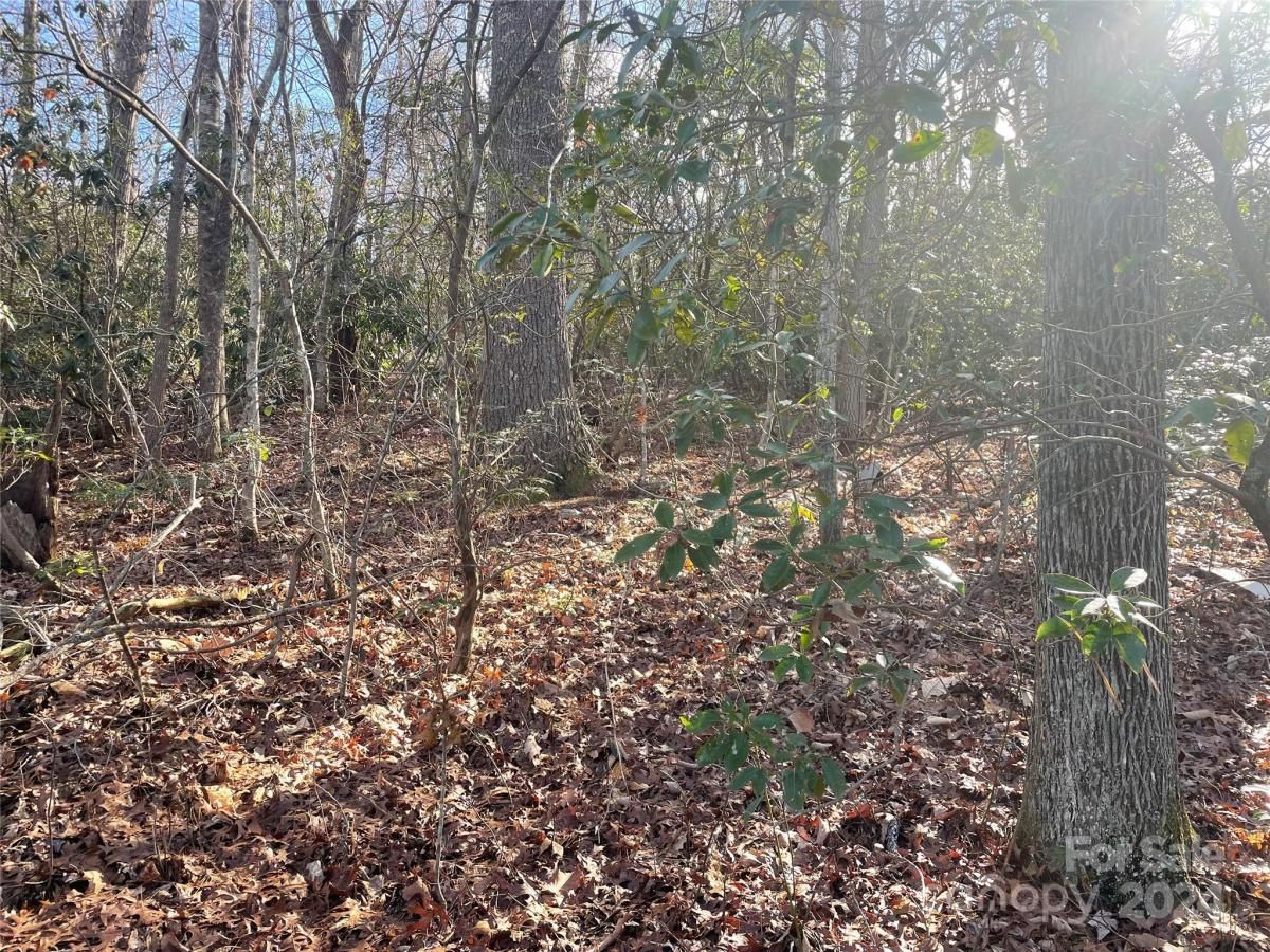 MLS #CAR4104950 image #4