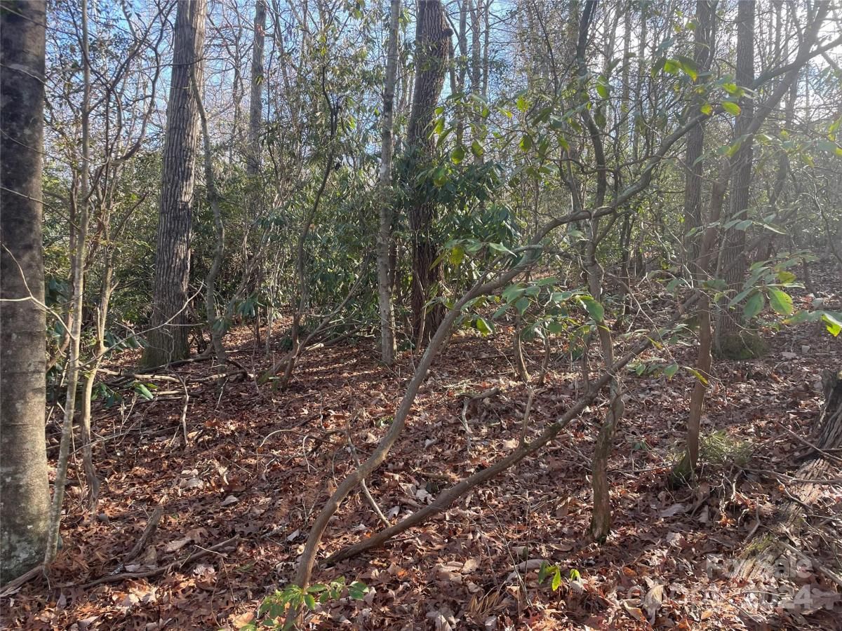 MLS #CAR4104950 image #6