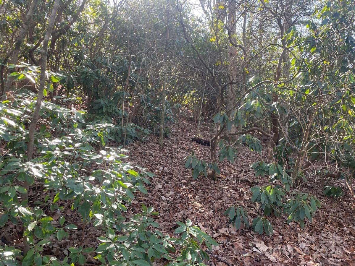 MLS #CAR4104950 image #8