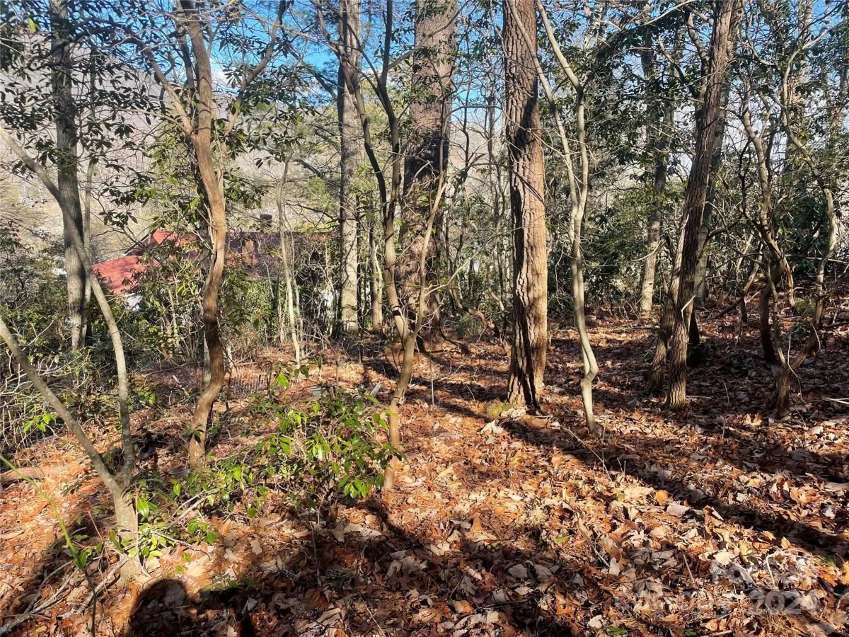 MLS #CAR4104950 image #9