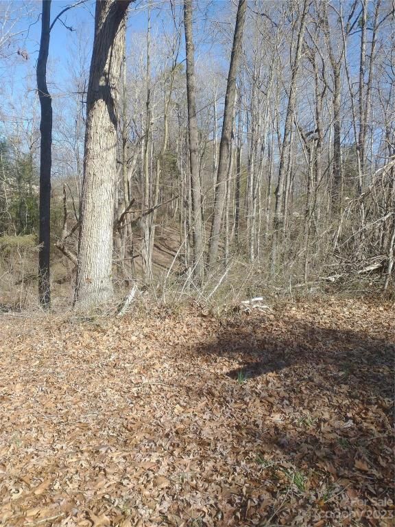 MLS #CAR4105116 image #0