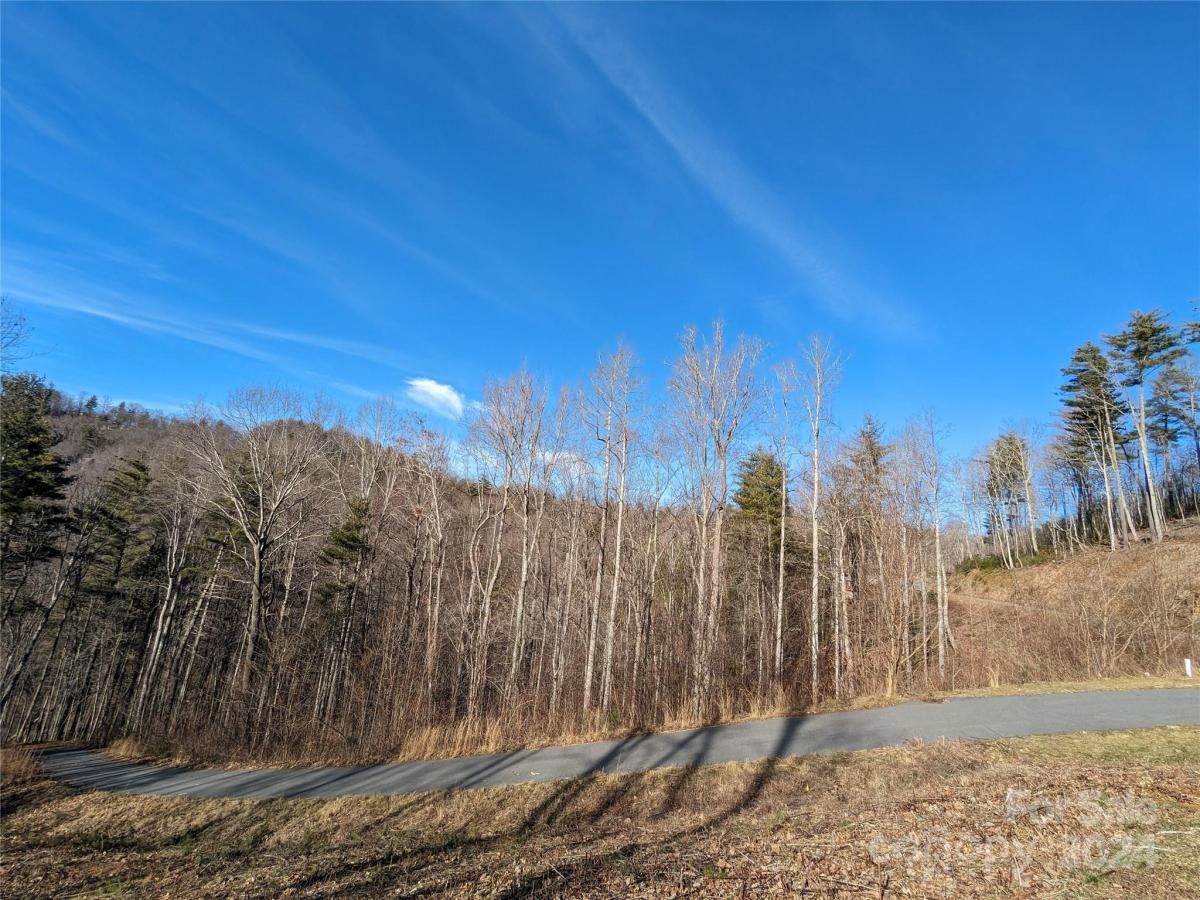 MLS #CAR4105858 image #0