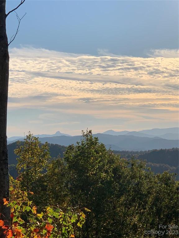 MLS #CAR4105989 image #6