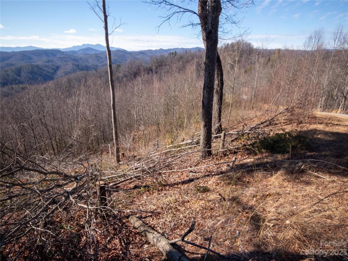 MLS #CAR4105989 image #1