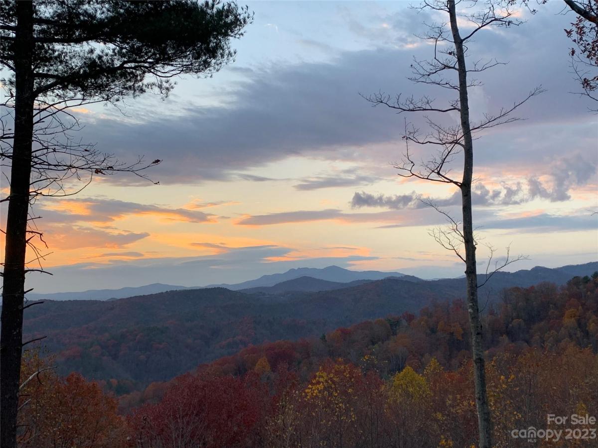 MLS #CAR4105989 image #10