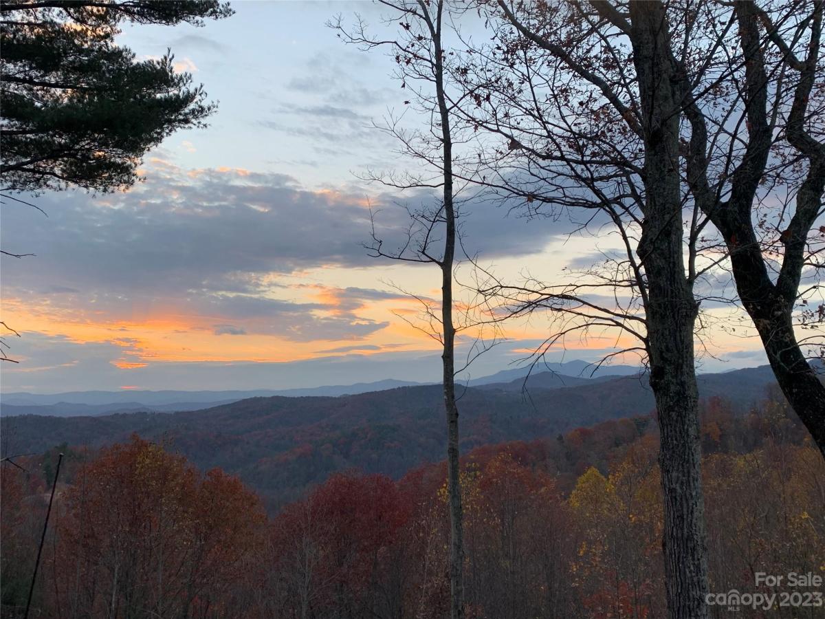 MLS #CAR4105989 image #12