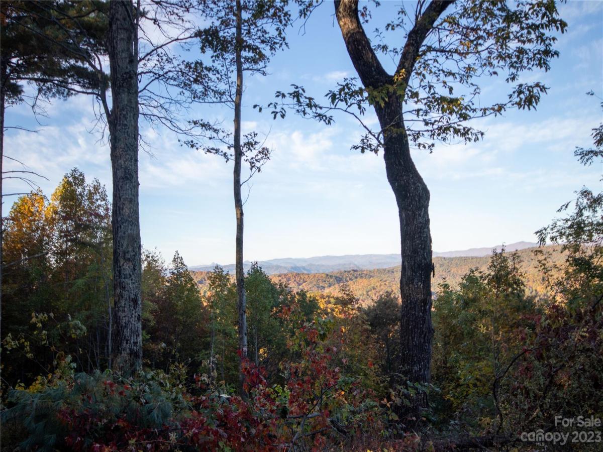 MLS #CAR4105989 image #13