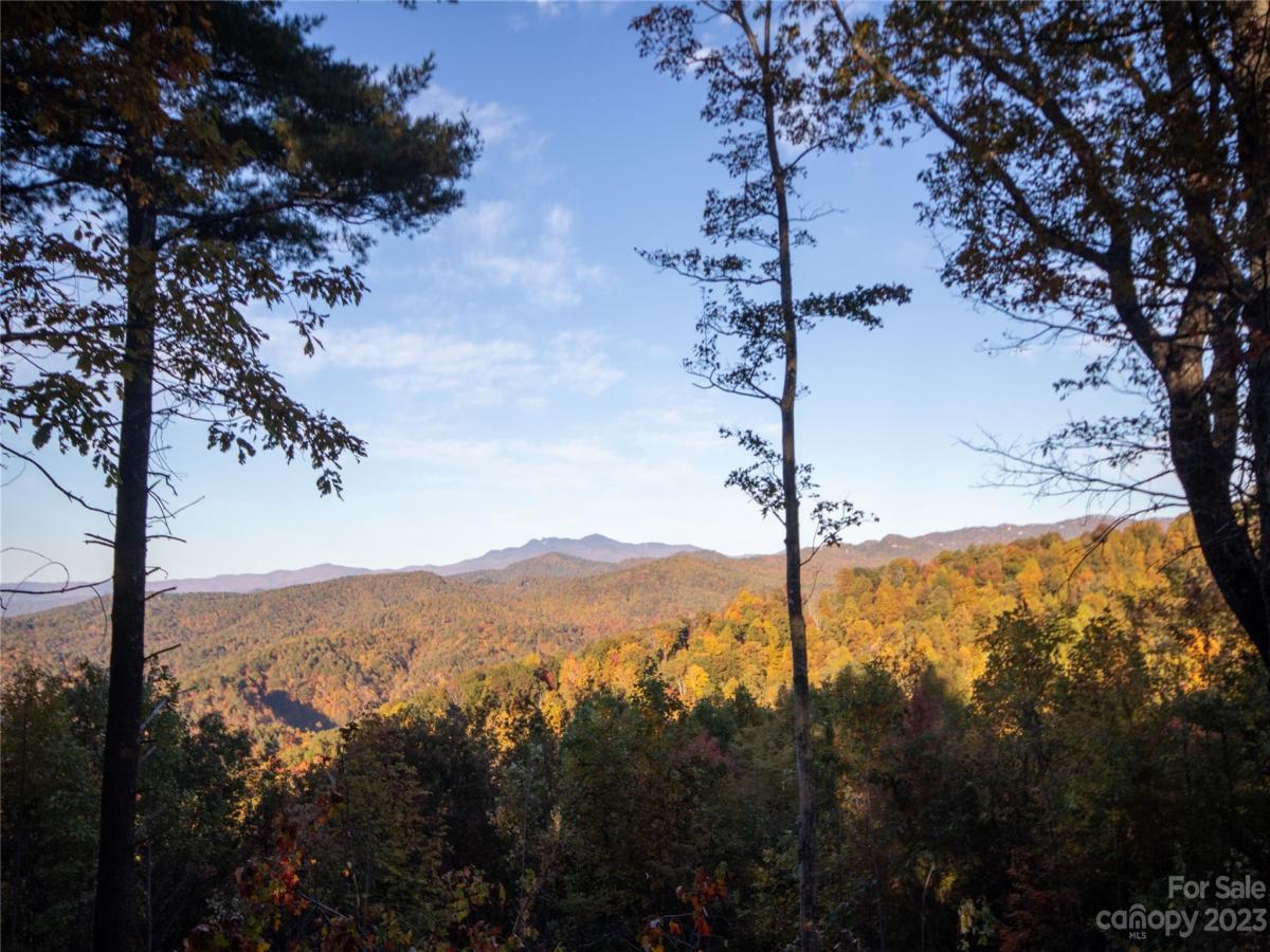 MLS #CAR4105989 image #14