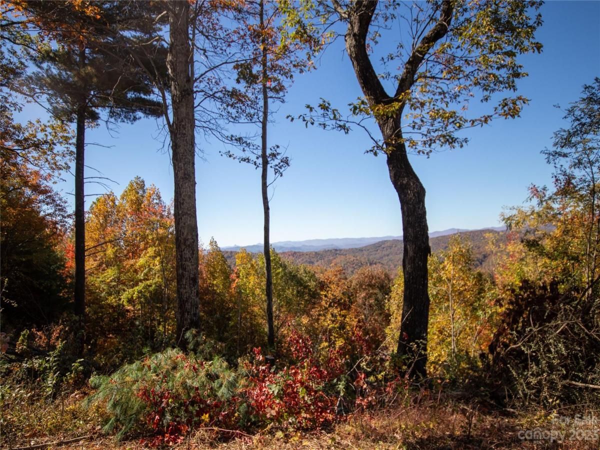 MLS #CAR4105989 image #15