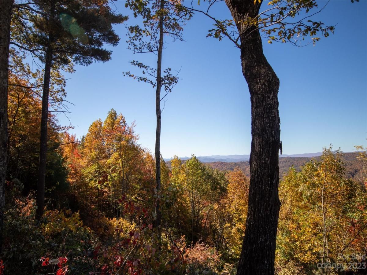 MLS #CAR4105989 image #16