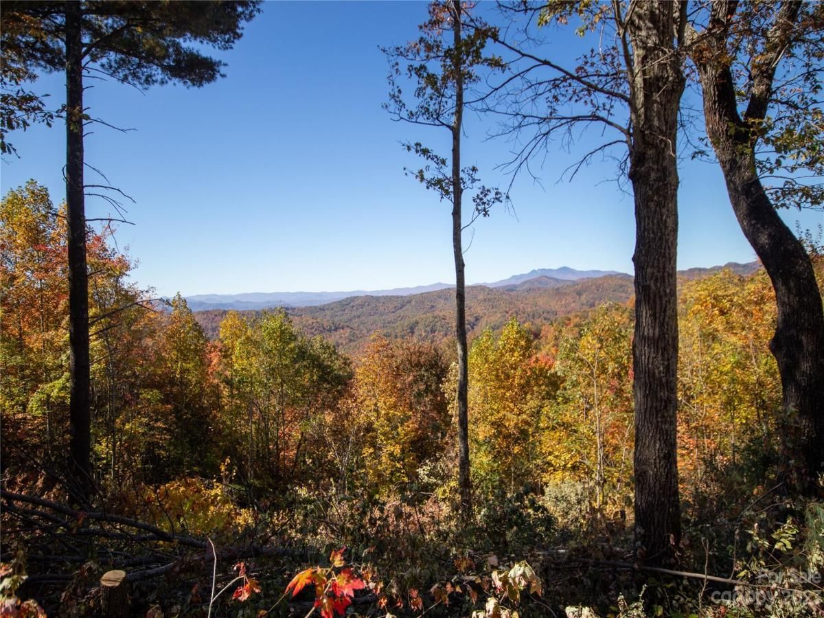 MLS #CAR4105989 image #17