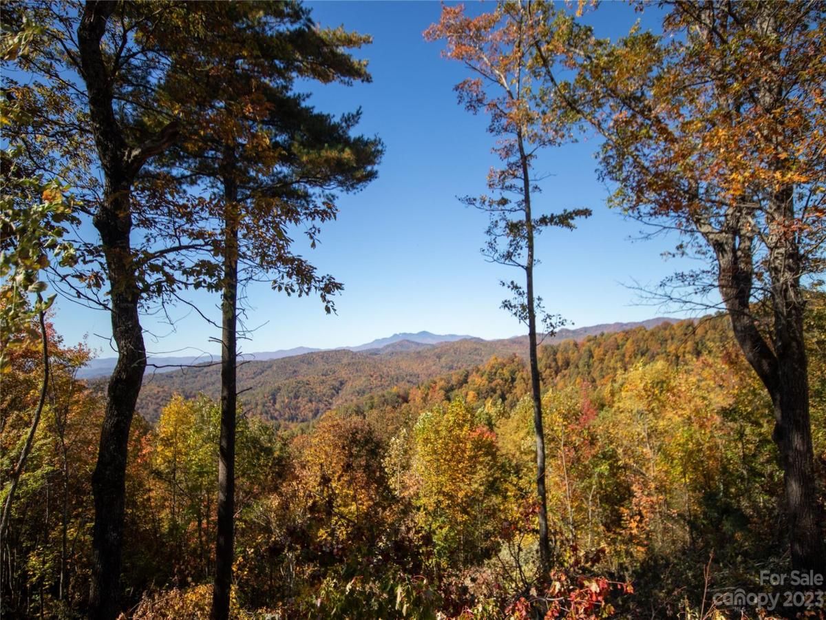 MLS #CAR4105989 image #18