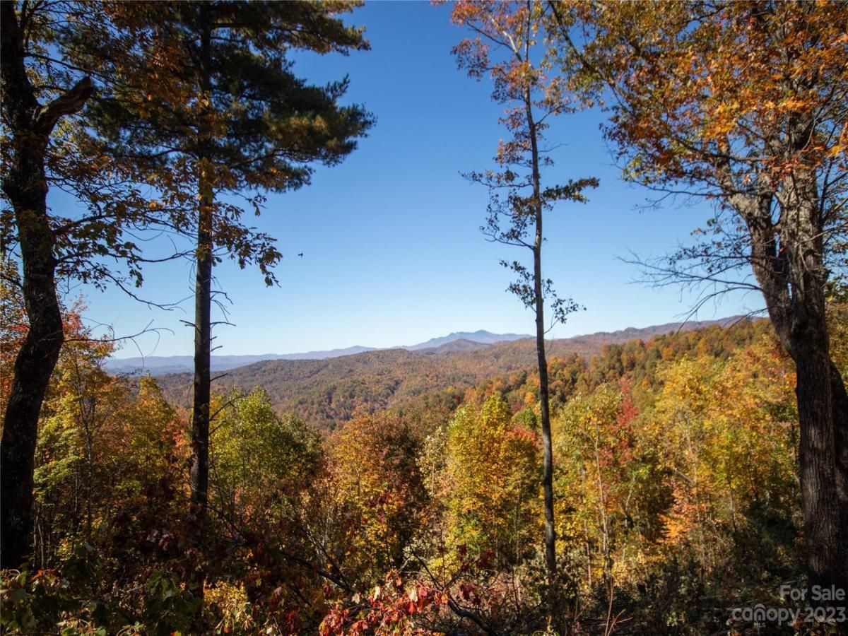 MLS #CAR4105989 image #19