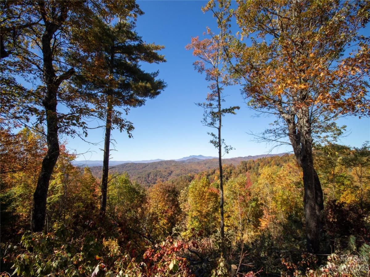 MLS #CAR4105989 image #20