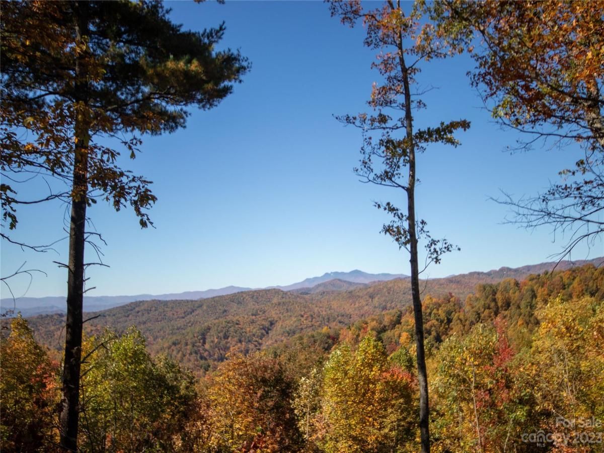 MLS #CAR4105989 image #21