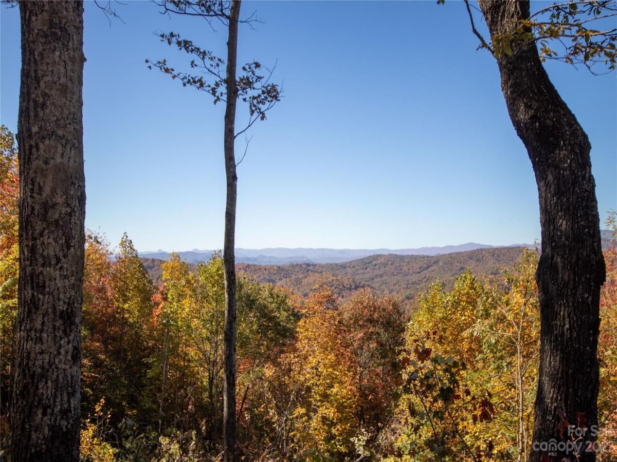 MLS #CAR4105989 image #22