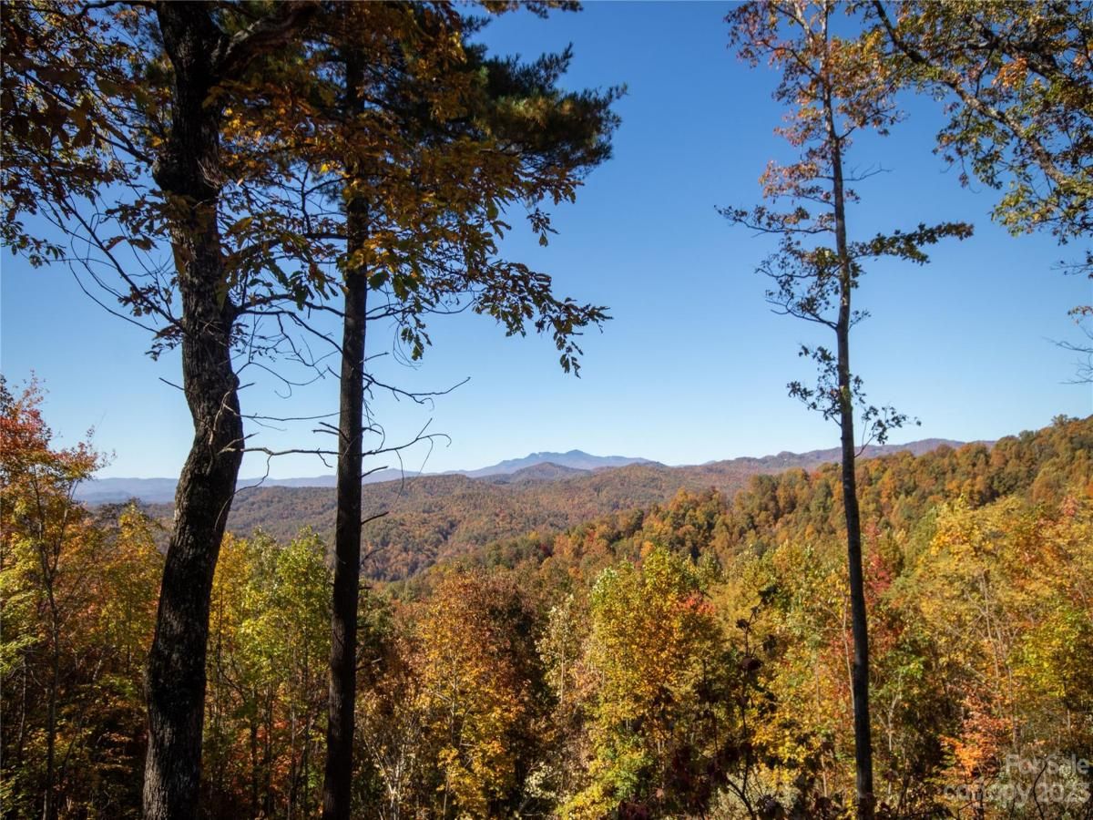 MLS #CAR4105989 image #23