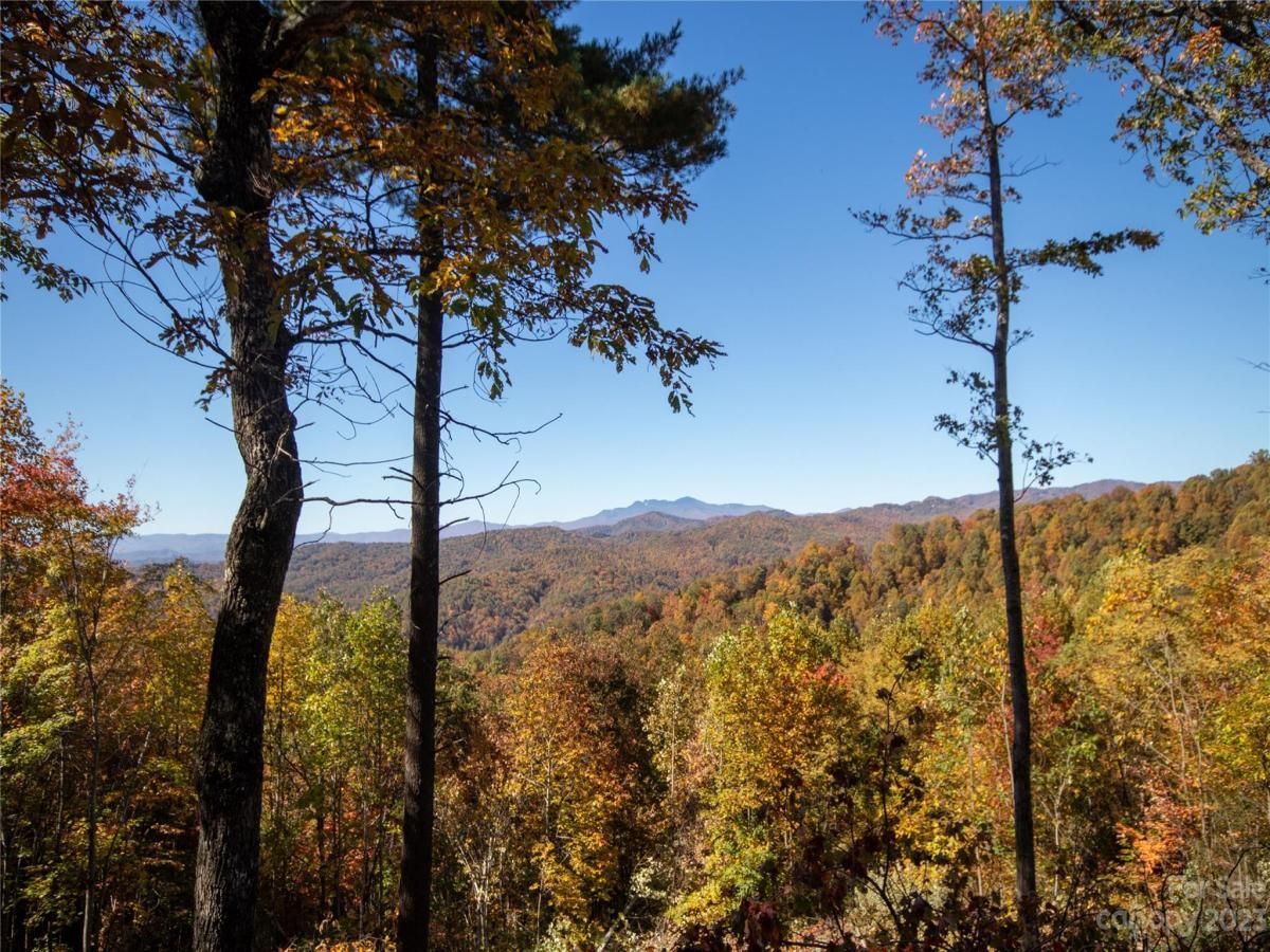 MLS #CAR4105989 image #24